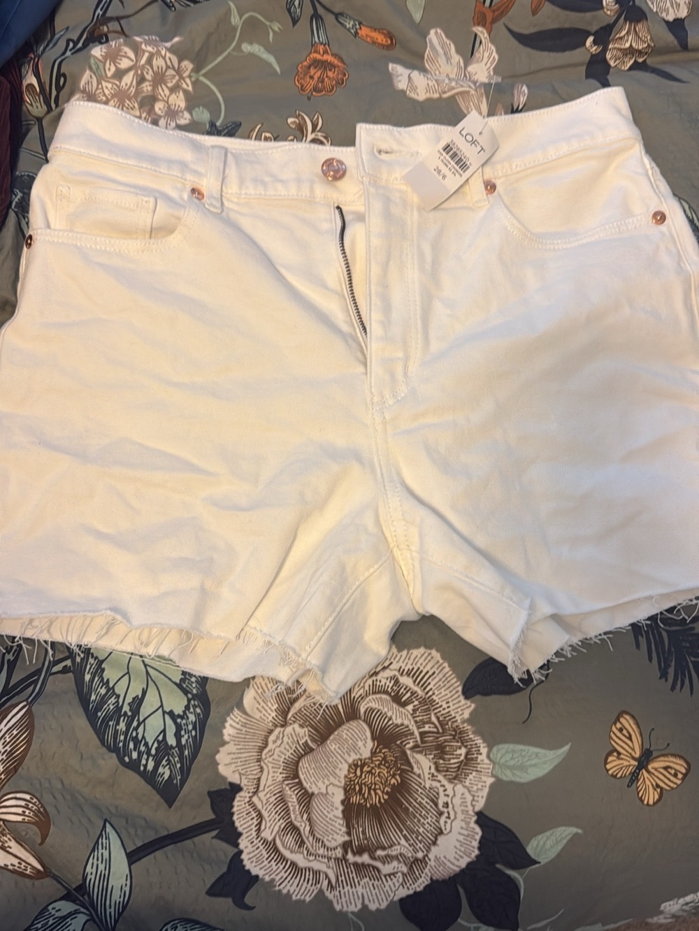 LOFT White Denim Frayed Hem Shorts high rise. Size 8/29.